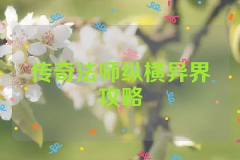传奇法师纵横异界攻略