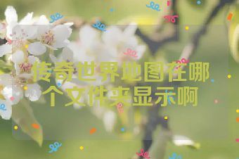 传奇世界地图在哪个文件夹显示啊