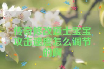 传奇修改道士宝宝攻击速度怎么调节的啊