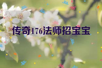 传奇176法师招宝宝