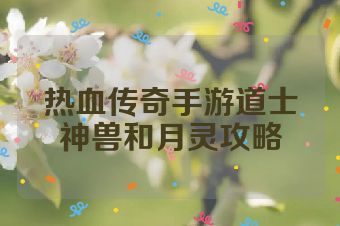 热血传奇手游道士神兽和月灵攻略