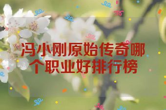 冯小刚原始传奇哪个职业好排行榜