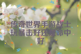 传奇世界手游战士玩暴击好还是命中好