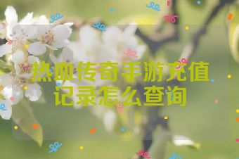 热血传奇手游充值记录怎么查询