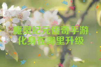 魔灵纪元传奇手游化身在哪里升级