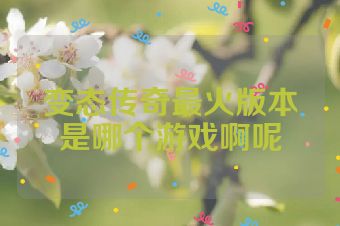变态传奇最火版本是哪个游戏啊呢