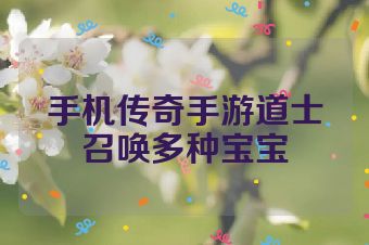 手机传奇手游道士召唤多种宝宝