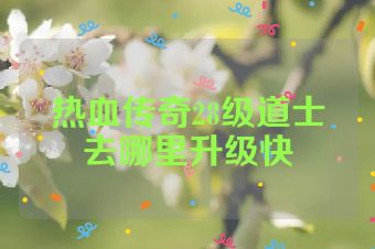 热血传奇28级道士去哪里升级快