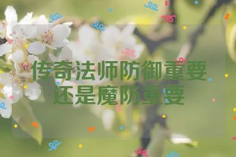 传奇法师防御重要还是魔防重要