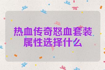 热血传奇怒血套装属性选择什么