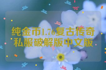 纯金币1.76复古传奇私服破解版中文版