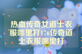 热血传奇女道士衣服哪里打176传奇道士衣服哪里打