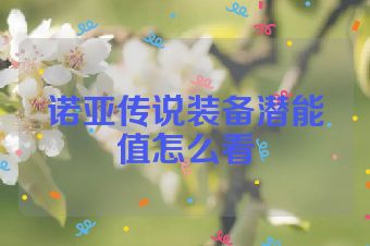 诺亚传说装备潜能值怎么看