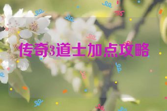 传奇3道士加点攻略