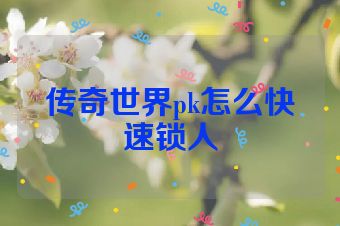 传奇世界pk怎么快速锁人