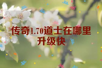 传奇1.70道士在哪里升级快