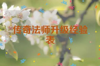 传奇法师升级经验表