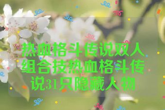 热血格斗传说双人组合技热血格斗传说31只隐藏人物