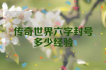 传奇世界六字封号多少经验