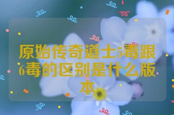 原始传奇道士5毒跟6毒的区别是什么版本