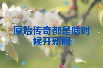 原始传奇都是啥时候开新服