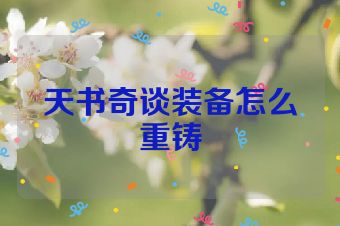 天书奇谈装备怎么重铸