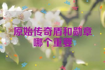 原始传奇盾和勋章哪个重要