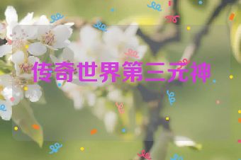 传奇世界第三元神