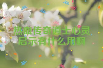 热血传奇道士心灵启示有什么用啊
