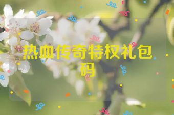 热血传奇特权礼包码