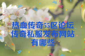 热血传奇55区论坛传奇私服发布网站有哪些
