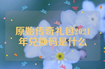 原始传奇礼包2021年兑换码是什么