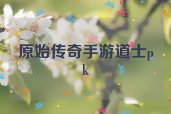 原始传奇手游道士pk