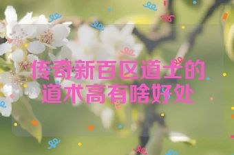 传奇新百区道士的道术高有啥好处