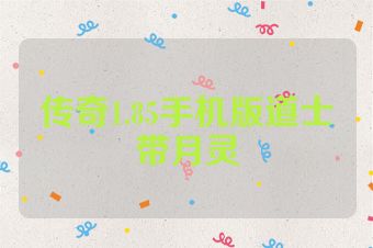 传奇1.85手机版道士带月灵