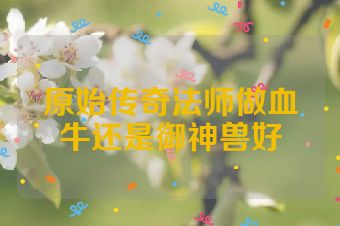 原始传奇法师做血牛还是御神兽好