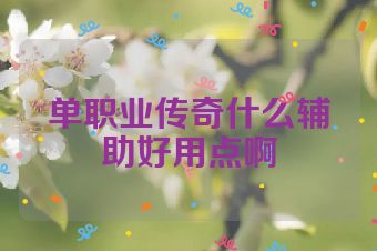 单职业传奇什么辅助好用点啊
