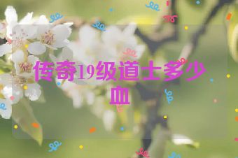 传奇19级道士多少血