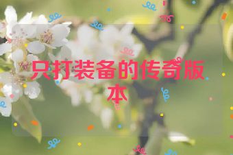 只打装备的传奇版本