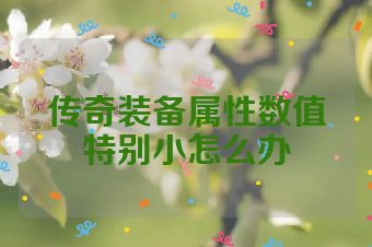 传奇装备属性数值特别小怎么办