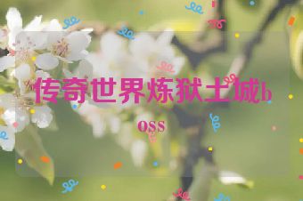 传奇世界炼狱土城boss