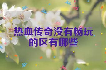 热血传奇没有畅玩的区有哪些