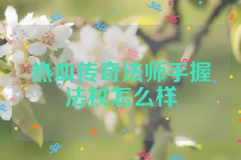 热血传奇法师手握法杖怎么样