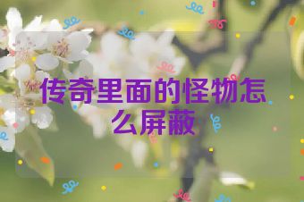 传奇里面的怪物怎么屏蔽