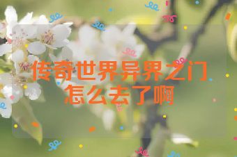 传奇世界异界之门怎么去了啊