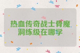 热血传奇战士骨魔洞练级在哪学