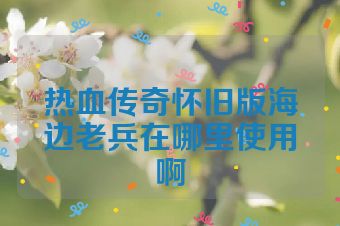 热血传奇怀旧版海边老兵在哪里使用啊