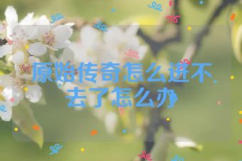 原始传奇怎么进不去了怎么办