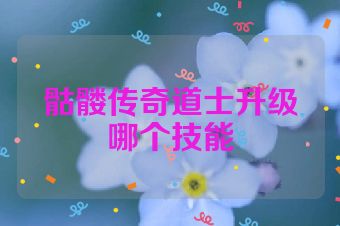 骷髅传奇道士升级哪个技能