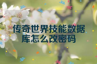 传奇世界技能数据库怎么改密码